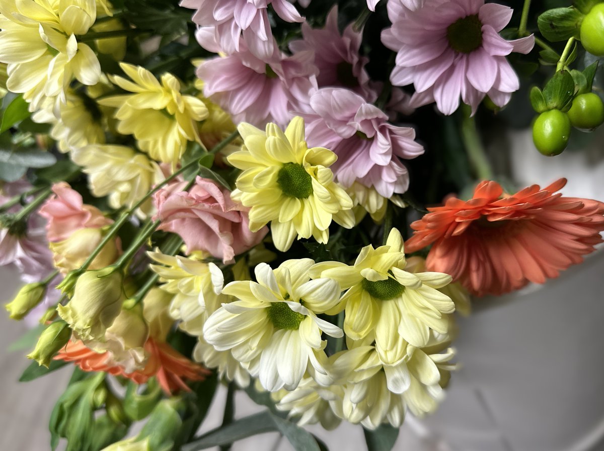 Nothing to see here; just some gorgeous pastel shades 💜🩵💙💚💛🧡🩷

#fareham #flowers #shoplocal #moonstonesfloralstory #fridayflowers