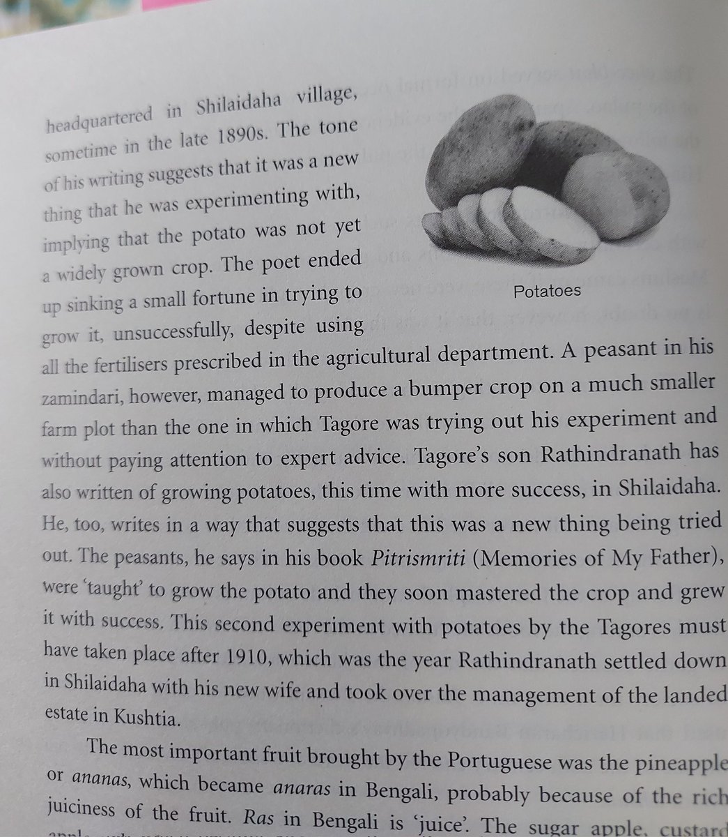 Tagore's experiments with potatoes  🥔 😊