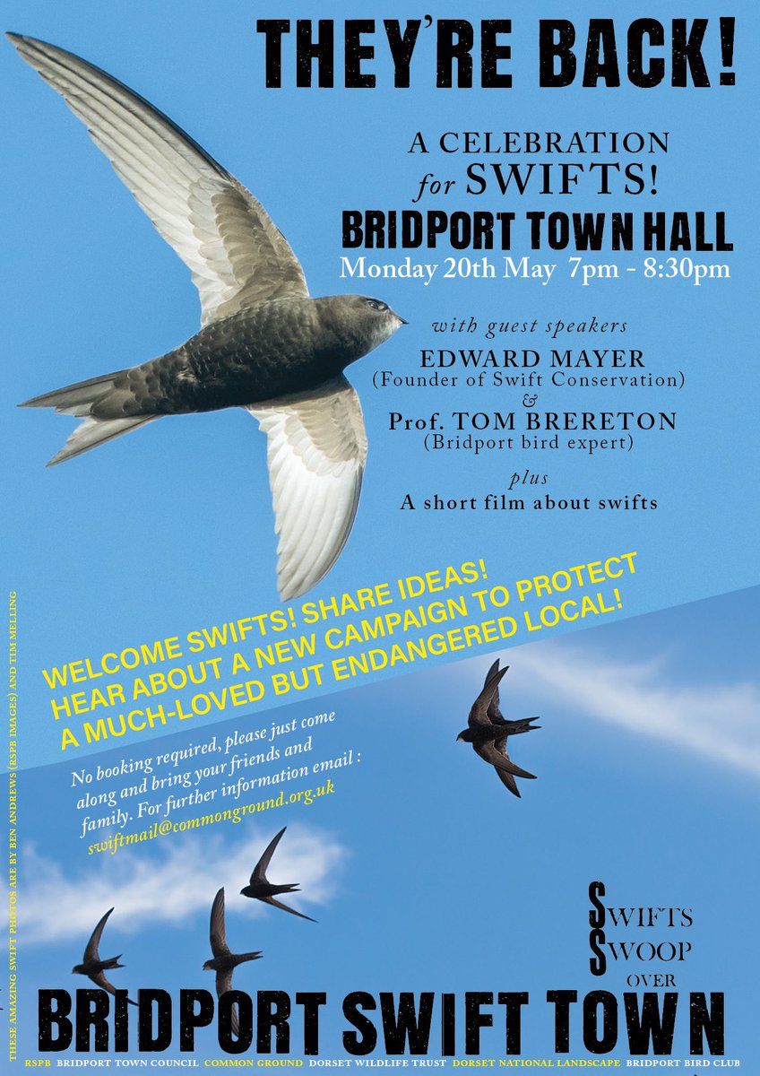 Adrian with his @CommonGroundLab hat on has been working with the @DorsetWildlife, @Dorset_NL & town council on a swift project for Bridport. This is the first event come along and find out what the plans are over the next year or so to help the swifts of Bridport. #swift