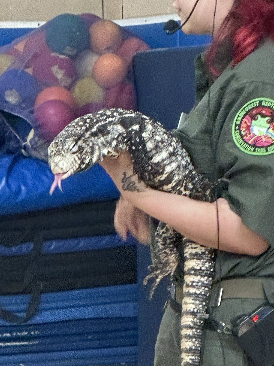 Jen Branco tweet media