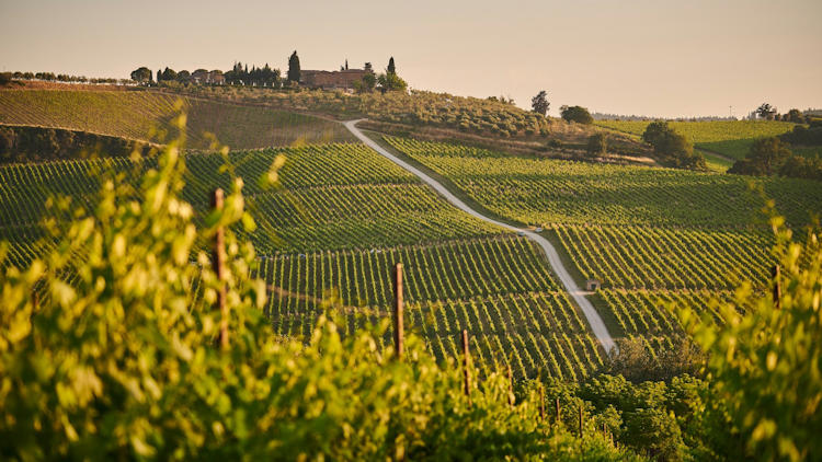 How to Plan the Perfect Tuscany Wine Tour: Tips for Wine Lovers → tinyurl.com/5j5e69ez