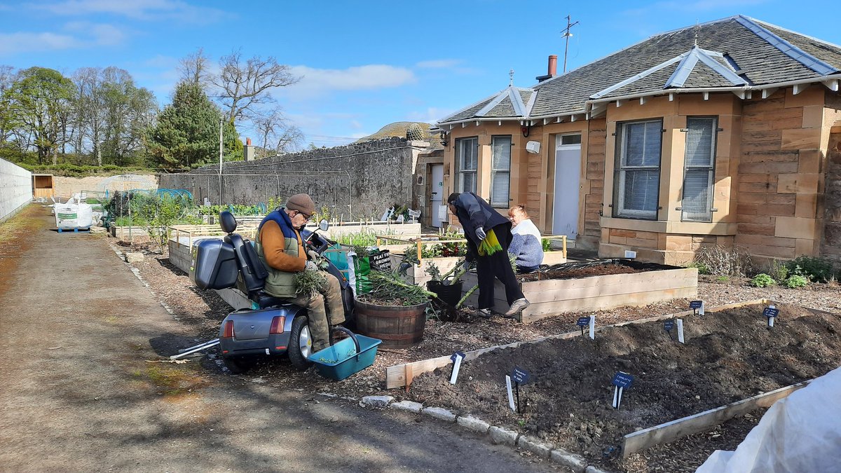 A fantastic day to get busy in the garden at Inch Nursery. Prepping beds for new veggies to go in, planting shallots and stripping out some older purple sprouting broccoli! All in a couple of hours, everyone worked their socks off! #WorkingTogether #wellbeing #communitygarden
