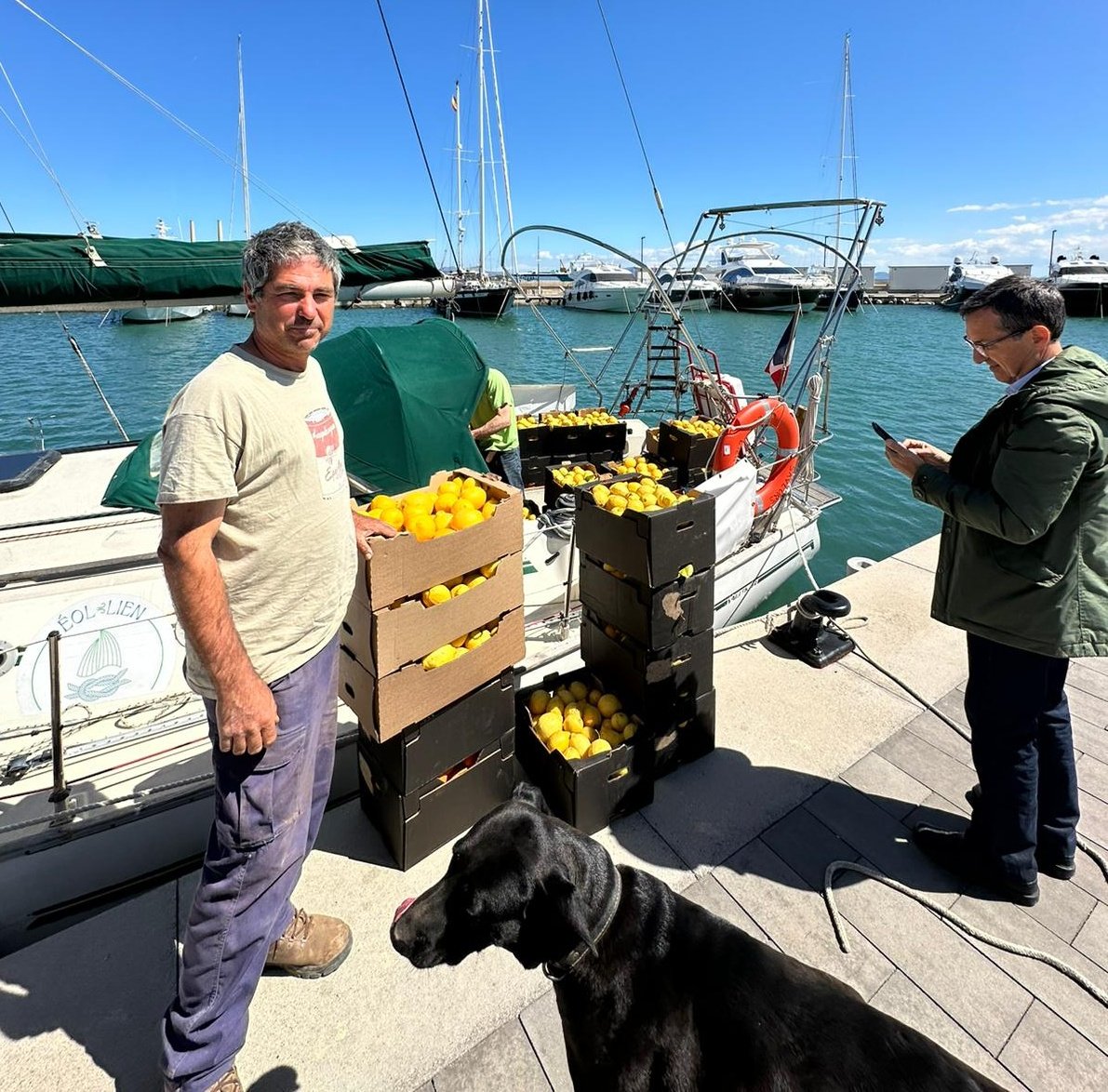 Ido això és el Port de Sóller. Per segon any consecutiu companys pagesos del sud de França venen a Mallorca en vaixell a cercar 1.000 kg de llimones ecològiques. Allà són molt apreciades en aquest temps. I aviat tornaran a cercar taronja, combinant vela i motor. Bona travessia!