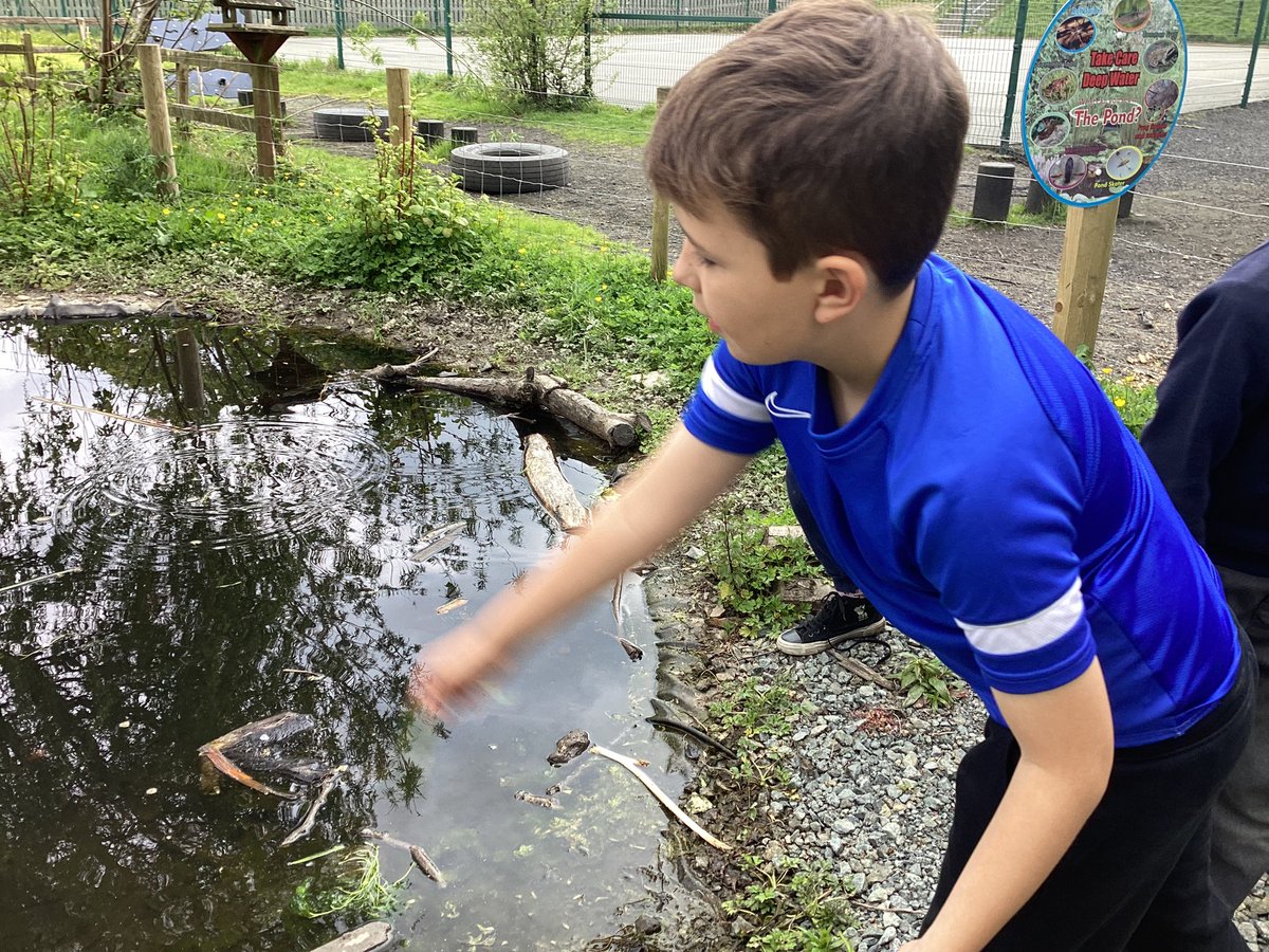 Diolch to the Eco Council members for helping put the aquatic plants in the pond which were kindly funded by the PTA. @EcoSchoolsWales #pta #schoolcommunity
