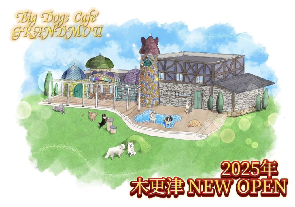 ／
大型犬カフェぐらんむー 
フォロワー6万人記念‼️
プレオープンご招待企画🐶🏠✨
＼

抽選で3組様を新生ぐらんむーの
プレオープンに無料でご招待します🌟

応募方法🎯
【 <a href="/GrandMou_/">大型犬カフェGRAND MOU《ぐらんむー》</a> 】をフォロー
・この投稿をRT💡
※応募締切5/31〆
たくさんのご参加お待ちしてます🐾