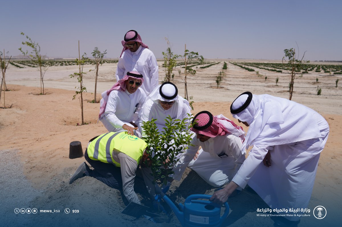 MEWA_KSA's tweet photo. معالي الوزير يتفقد مدينة الليمون الزراعية (1) ويدشّن اكتمال زراعة المرحلة الأولى من مدينة الليمون الزراعية (2)، ويقف ميدانيًا على مشاريع التحول الرقمي بالمؤسسة العامة للري خلال جدول أعمال مجلس الإدارة المنعقد بمقر المؤسسة بمحافظة الأحساء.. https://t.co/kpHgEzuSnV