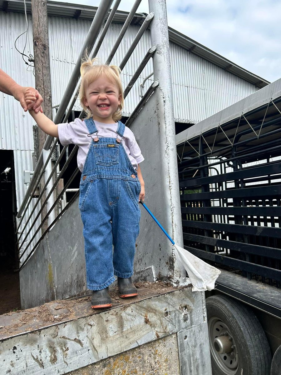 GordonCattle's tweet photo. Spent the day working cattle.  Had a extra hand to help out but i think Mimi &amp; Colbie Jo spent more time taking pics than helping.  Grandkids are the best https://t.co/2xjvX8YYXl
