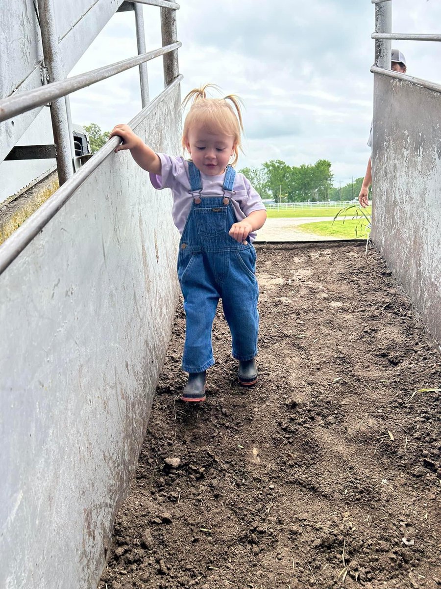 GordonCattle's tweet photo. Spent the day working cattle.  Had a extra hand to help out but i think Mimi &amp; Colbie Jo spent more time taking pics than helping.  Grandkids are the best https://t.co/2xjvX8YYXl