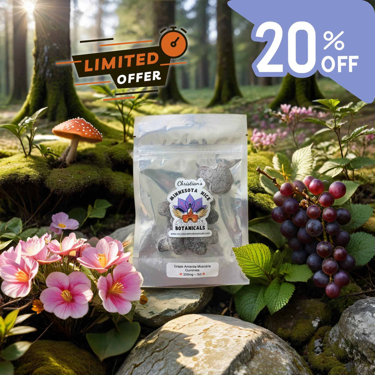 🍇 Get 20% off grape flavored Amanita Muscaria gummies this weekend only with code 'grape20'. Don't miss out on this juicy deal! 🌟 Link in bio! 

#MinnesotaNiceEthnobotanicals #Amanita #AmanitaMuscaria #AmanitaMuscariaGummies #plantmedicine #psychedelicrenaissance
