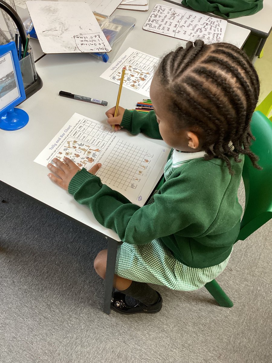 GRPAPlane's tweet photo. We really enjoyed our maths lesson today. We collected data, made a tally chart and created a bar graph to show our results. @GreenRidgeR2 #maths https://t.co/daXPTg6W5n