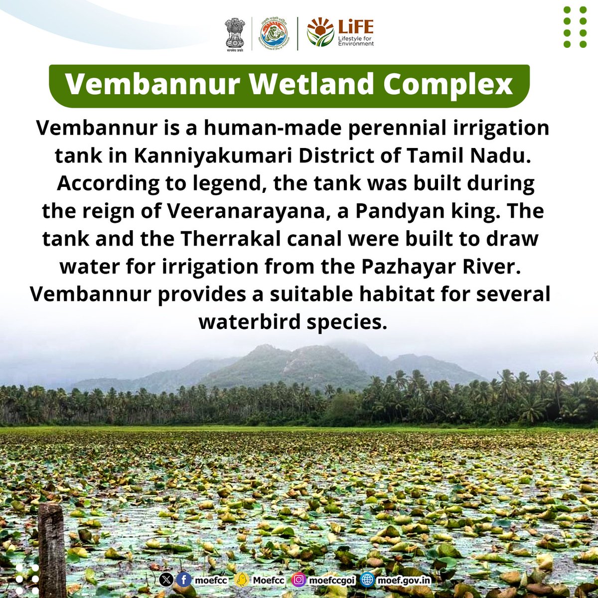 Discovering India's Ramsar Sites    

Day 76: Vembannur Bird Sanctuary    

From wetlands to wildlife, each site is a unique haven for nature. Let's celebrate and safeguard these vital ecosystems together!    

#RamsarSites #MissionLiFE #ProPlanetPeople