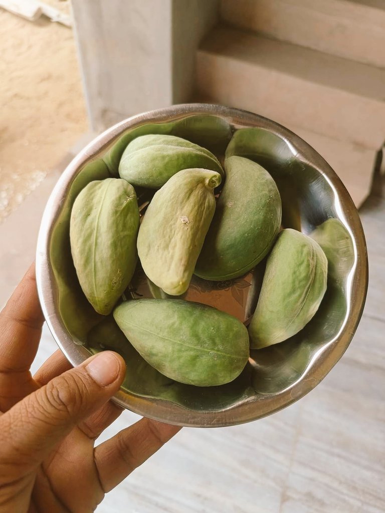 हमारे यहां इसे पपीता बोलते हैं।😂 आपके यहां? 
आज मैने पपीता खाया है। आप भी खा लो दोस्तों। 
#Payoutday #IncredibleIndia #incredibleMe #FruitOfTheLoom