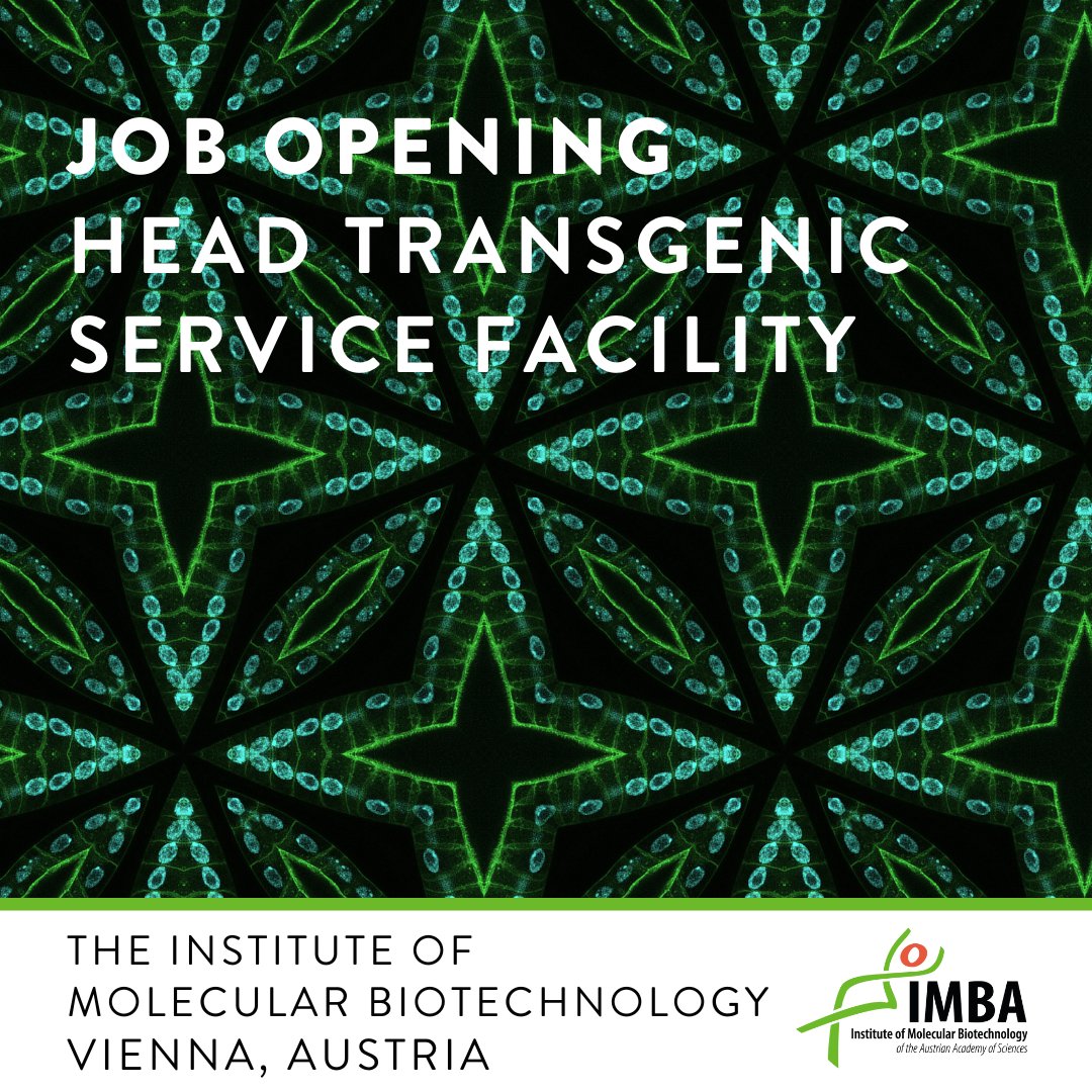 The IMP/IMBA Core Facility is seeking a qualified candidate for the role of Head of Transgenic Services. Apply here: imp.ac.at/career/open-po…