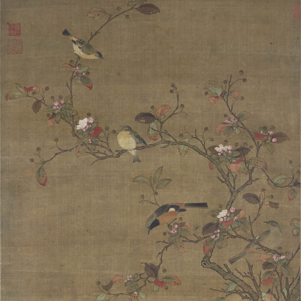 #FridayFlowers

Ren Renfa (1254–1327) is not only an expert in water conservancy, but also a talented painter.

In this scroll, he depicts two ducks frolicing by a lake. Above them, several birds perch on the slanting branches of haitang flowers🌼. What a harmonious autumn scene!