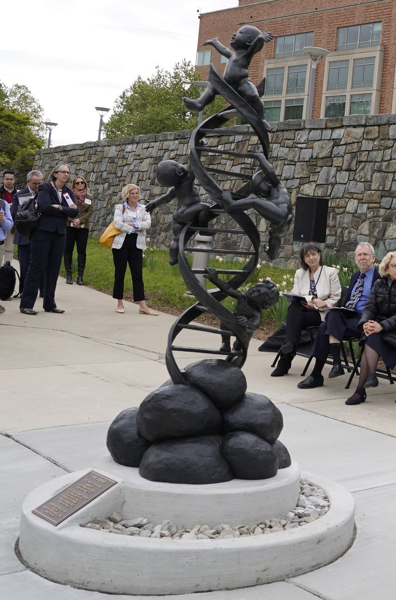 On #NationalDNADay, @NIH unveiled a donated statue outside @NIHClinicalCntr's main entrance. The statue, titled “The Ladder,” celebrates DNA & children. @NIHClinicalCnter, @NICHD_NIH & @genome_gov collaborated on hosting the statue & unveiling ceremony. bit.ly/3QjPfbH