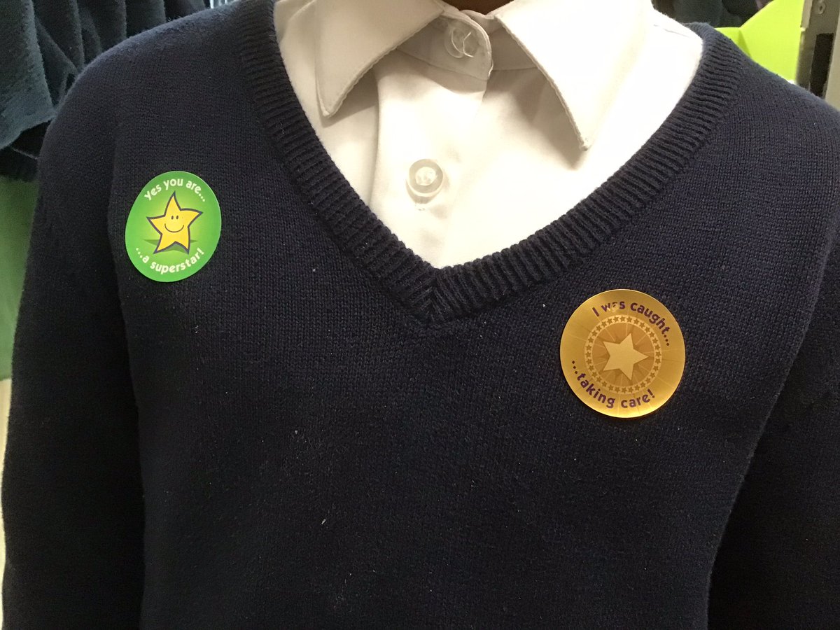 It’s been a while but one of our very very very very special stickers for some take care work in Year 3 today, during their country study lesson about…#geography #takecare #beexceptional 🐝😀