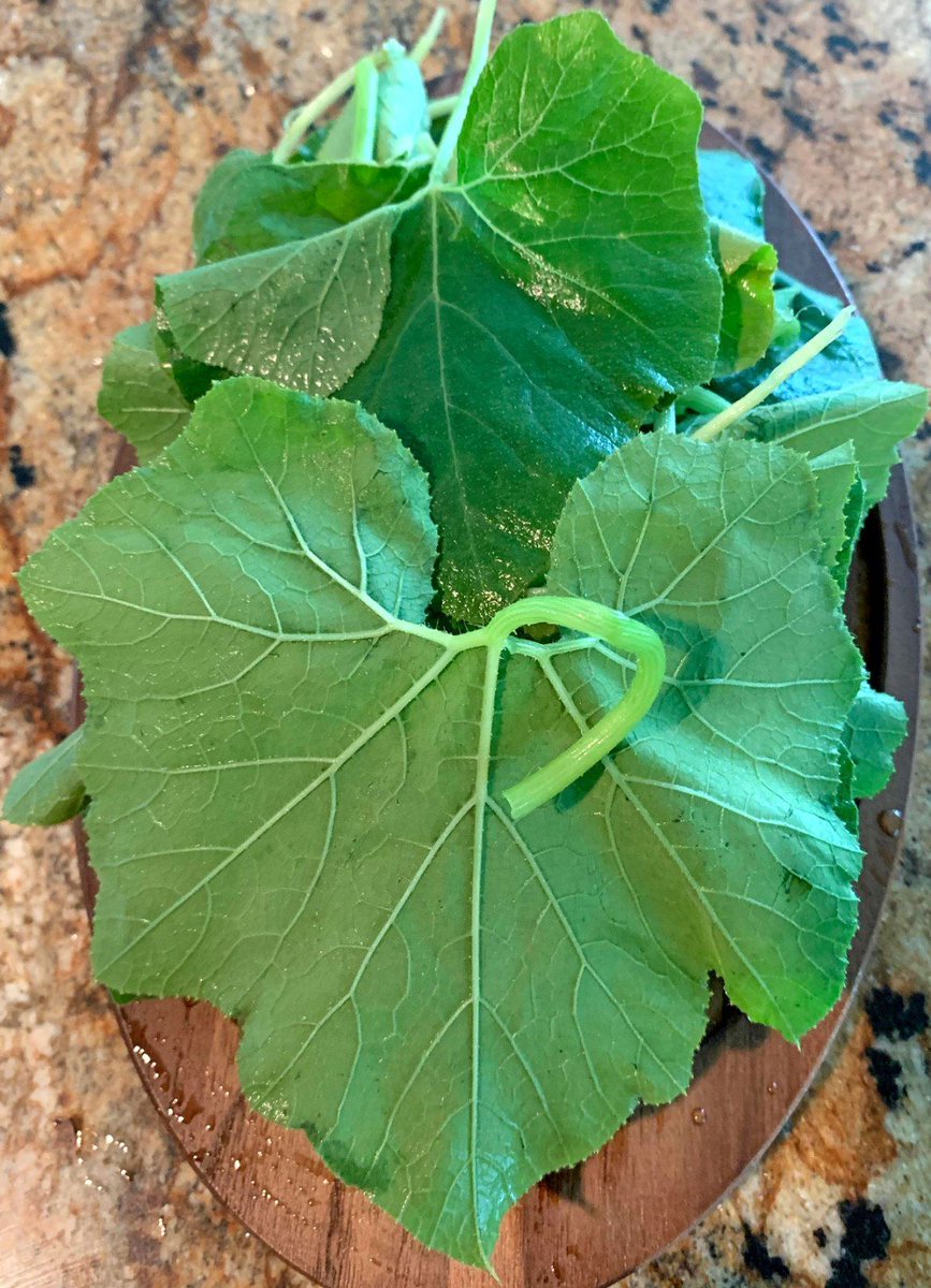 Pumpkin Leaves

- Plenty of calcium.

- Plenty of magnesium and potassium.

- Good source of Vitamin A and Folate, therefore good for pregnant & lactating mothers.

- Fibrous, therefore, good for the gut.

Cook with traditional salt to soften it for easier digestion.

#FoodFriday