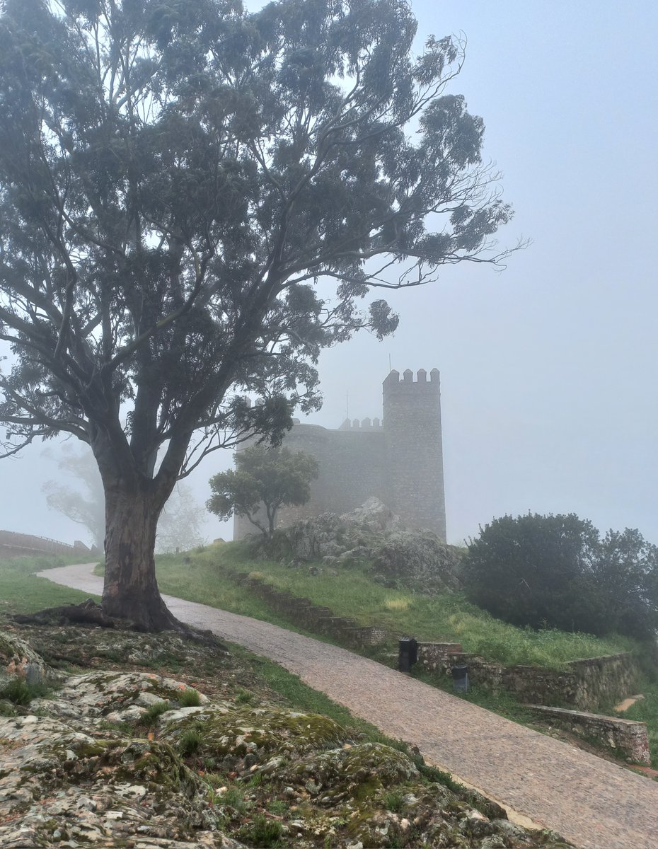 Hay un dicho que dice: 'en las lluvias de primavera, todas las cosas son más bellas'.
Pues así de bien le está sentando hoy este poquito de lluvia primaveral a Cortegana 😜😍
#cortegana #castillodecortegana #pueblomagicodeespaña #destinorural #turismorural #sierradehuelva