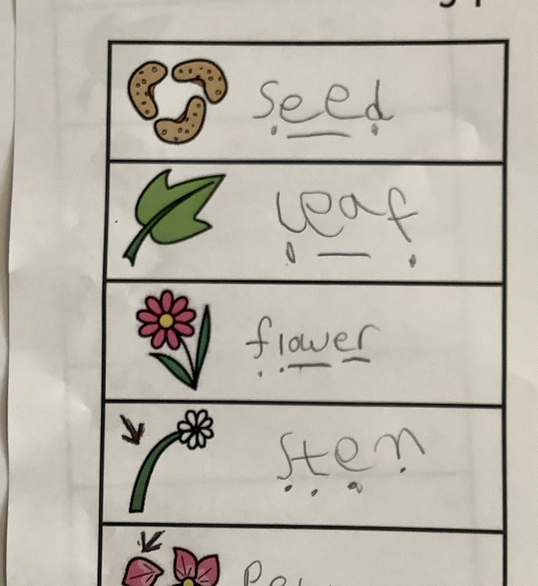 Bumblebees are preparing for writing their own stories about a seed growing into a flower next week. 🌺
They have been using their phonics to spell words that will be useful in their stories. (They will also be be useful in Science this term!) 

#excellence #perseverance #JP