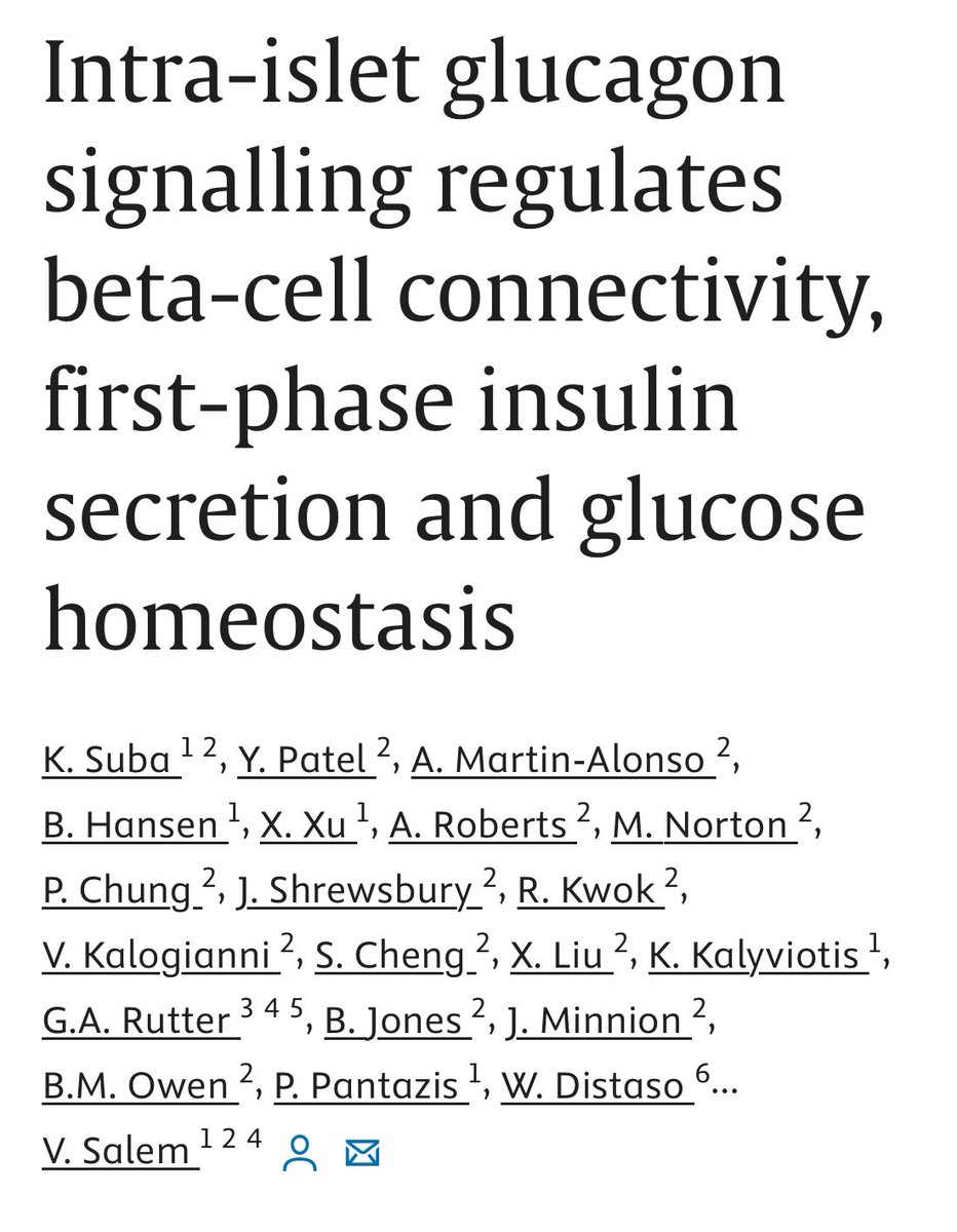 Daniel J Drucker (@danieljdrucker) on Twitter photo New from Prof Salem and colleagues. New roles for intraislet glucagon, calcium signaling and GSIS #islets #insulin sciencedirect.com/science/articl… <a href="/imperialcollege/">Imperial College London</a> <a href="/DiabetesUK/">Diabetes UK</a> <a href="/guy_rutter/">Guy Rutter1</a> #islets #diabetes New from Prof Salem and colleagues. New roles for intraislet glucagon, calcium signaling and GSIS #islets #insulin sciencedirect.com/science/articl… <a href="/imperialcollege/">Imperial College London</a> <a href="/DiabetesUK/">Diabetes UK</a> <a href="/guy_rutter/">Guy Rutter1</a> #islets #diabetes