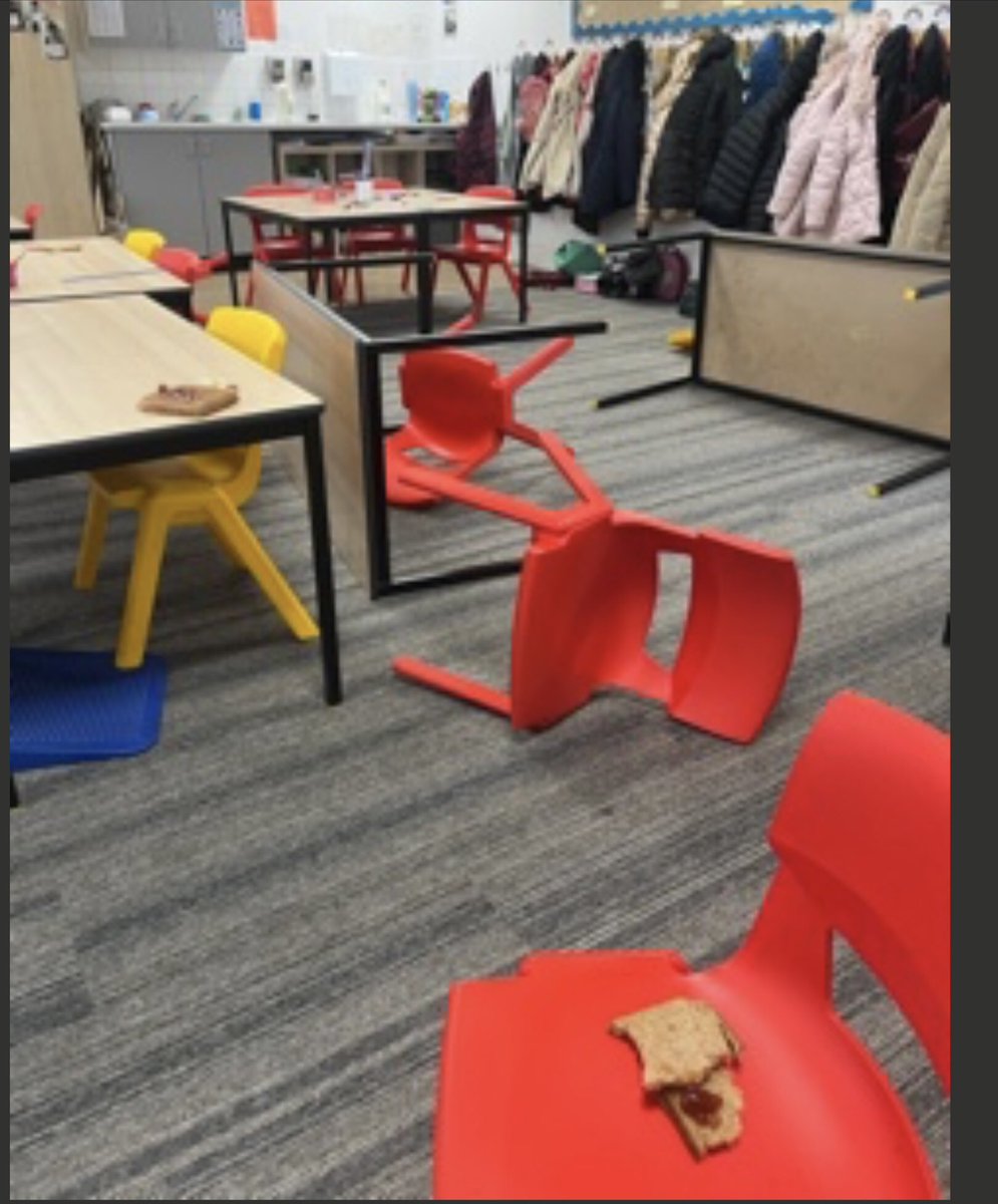 BramblesAspen tweet media