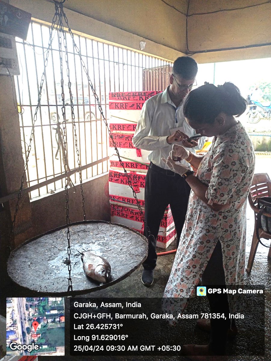 Keeping your fish fresh and safe! 🐟 Today, our Food Safety Officers went for testing of formalin at Baihata Chariali and Rangia Paikari fish markets in Kamrup district. Quality assurance every step of the way! #FoodSafetyAssam #FoodAwareness #FSSAI #foodtesting #formalin…