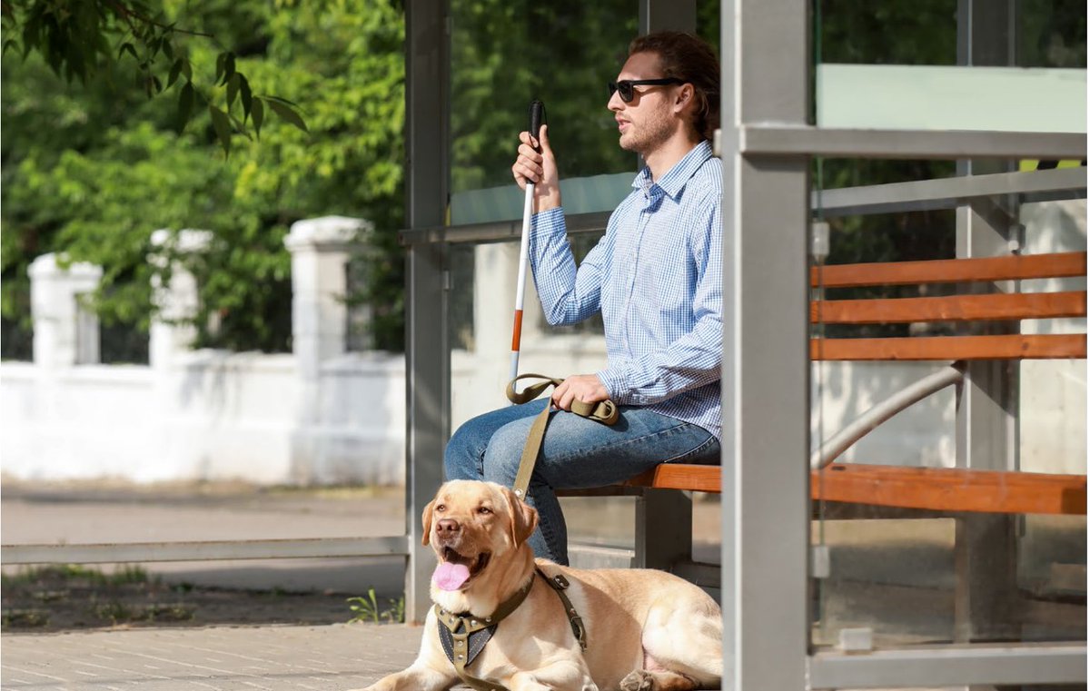 Following the appointment of a new First Minister and Cabinet in the Senedd, we’re calling on Welsh Government to focus on a number of key areas to address the most urgent issues facing people with sight loss in Wales, from healthcare to travel: bit.ly/3y2k2Dy