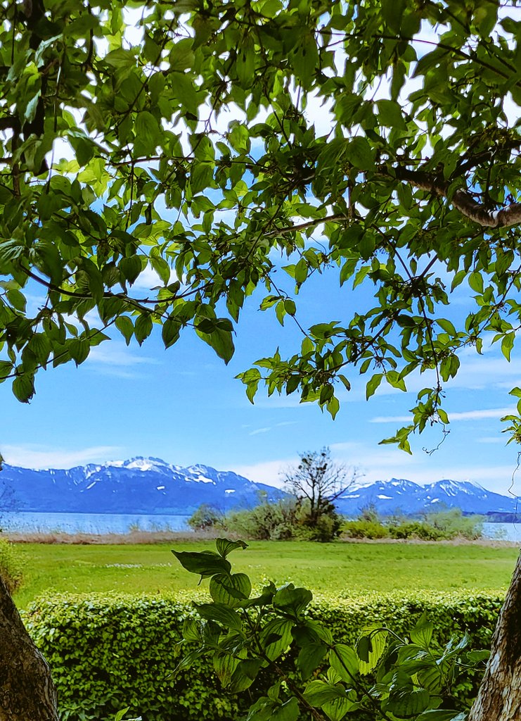 So schön ists heut am Chiemsee...kommt gut in ein wunderbares Wochenende...💙🤍💙