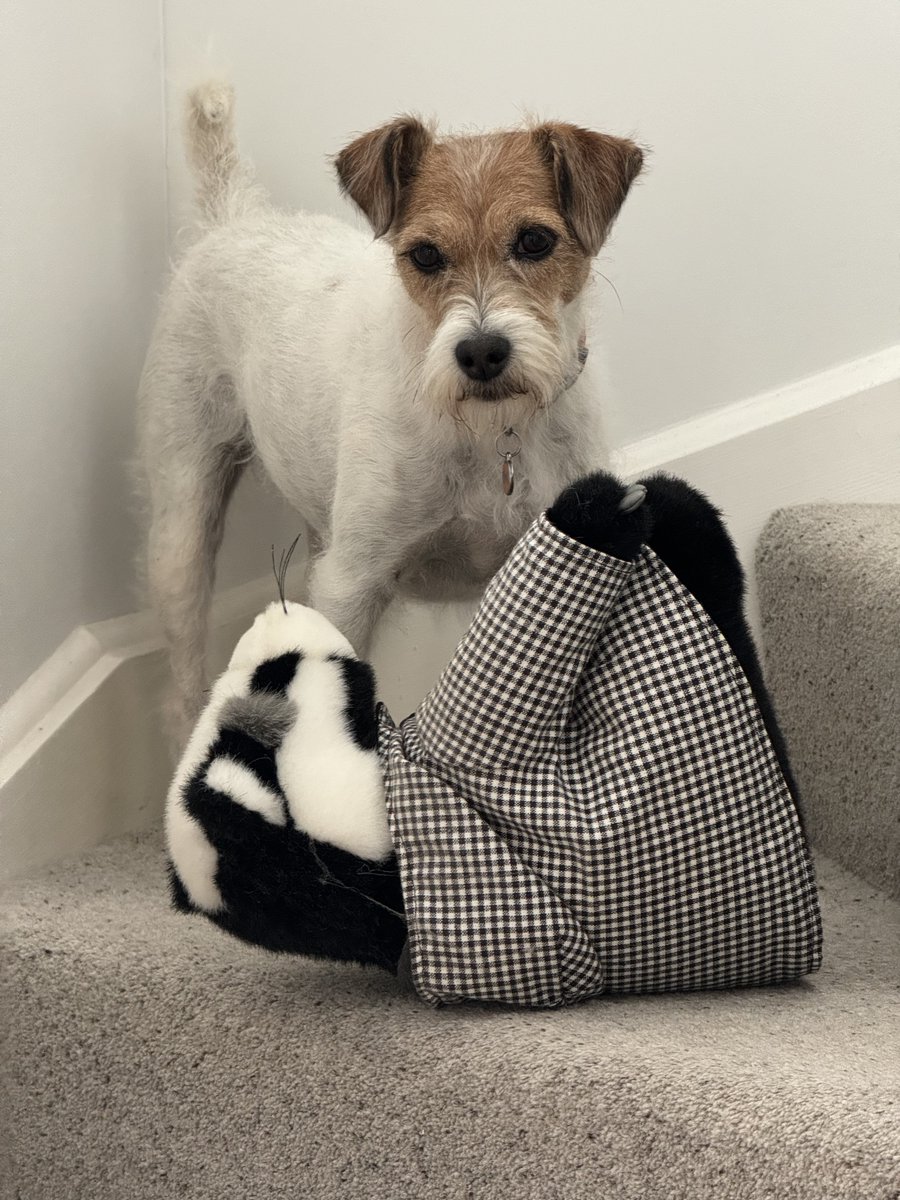 Now Mr Badger, do you want to play roly poly down de stairs? I fort it would be fun! You just normally sits here in de corner doin nuffin all day…☺️☺️☺️