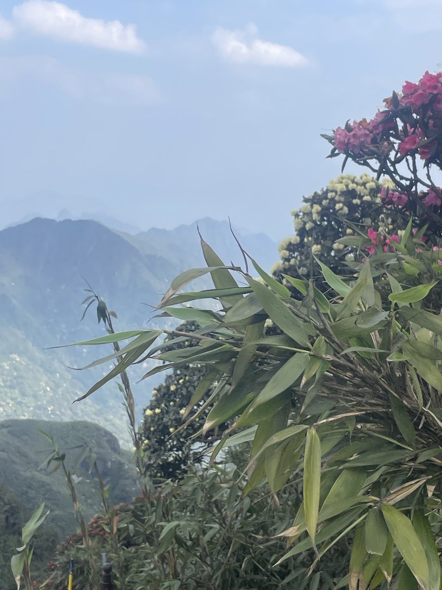 We are at the highest point in Indochina 🇻🇳 so, if I shout loud enough, I might just add to the cacophony at Sincil Bank tomorrow. #WeAreImps #ImpsAsOne #UTI 🔴⚪️