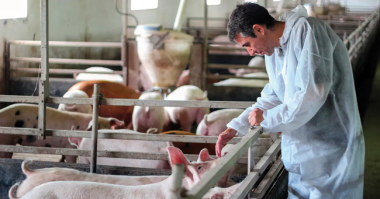 Ante el Día Mundial de la Veterinaria que se celebra mañana, desde @ocvespana piden un mayor reconocimiento de los veterinarios como profesionales sanitarios esenciales eurocarne.com/noticias/codig…