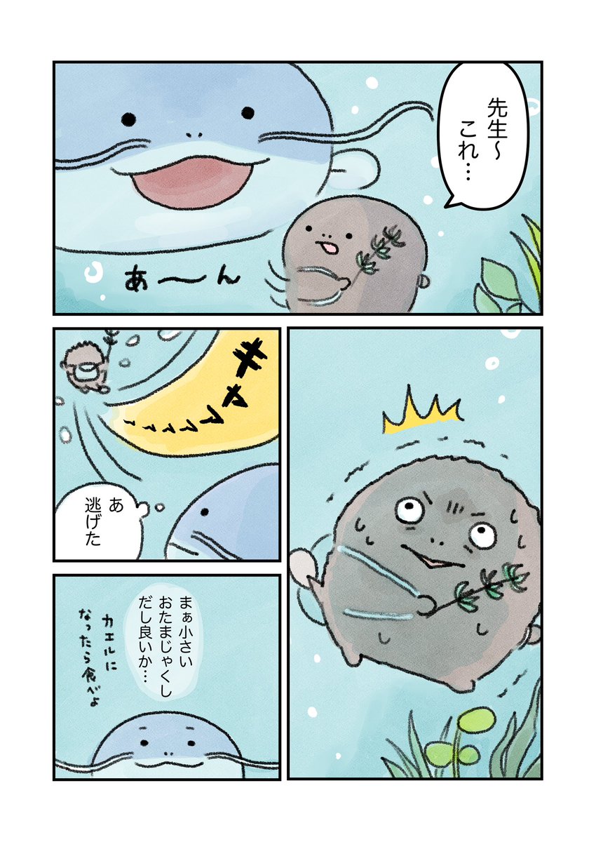 (3/3) 