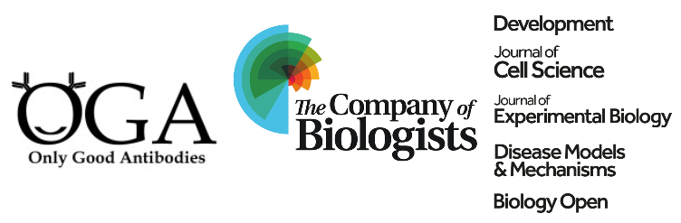 We are ecstatic to announce @Co_Biologists, with their 5 journals, are joining our community initiative. Together with @NatureProtocols, @WileyGlobal , @F1000, @eLife we are working to develop and trial interventions to improve biomedical research