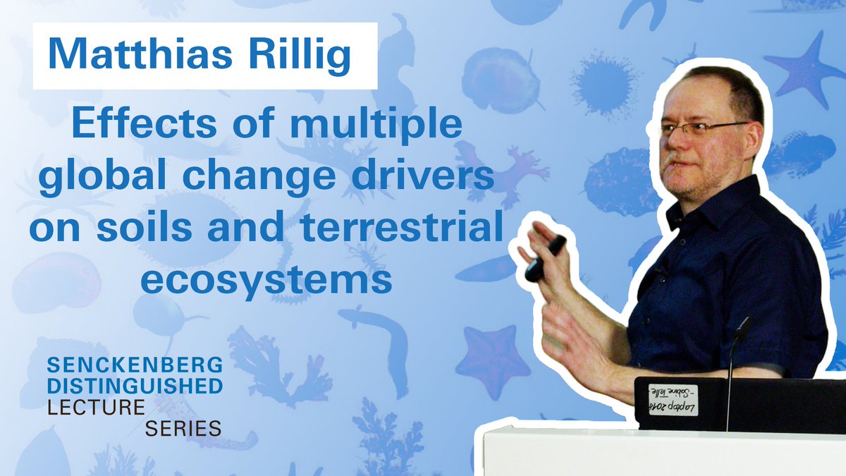 Missed our March #DistinguishedLectureSeries with Prof. Matthias Rillig @mrillig on the effects of multiple global change drivers on soils and terrestrial ecosystems? Good news! 📹The recording is now available here 👉sgn.one/zzc