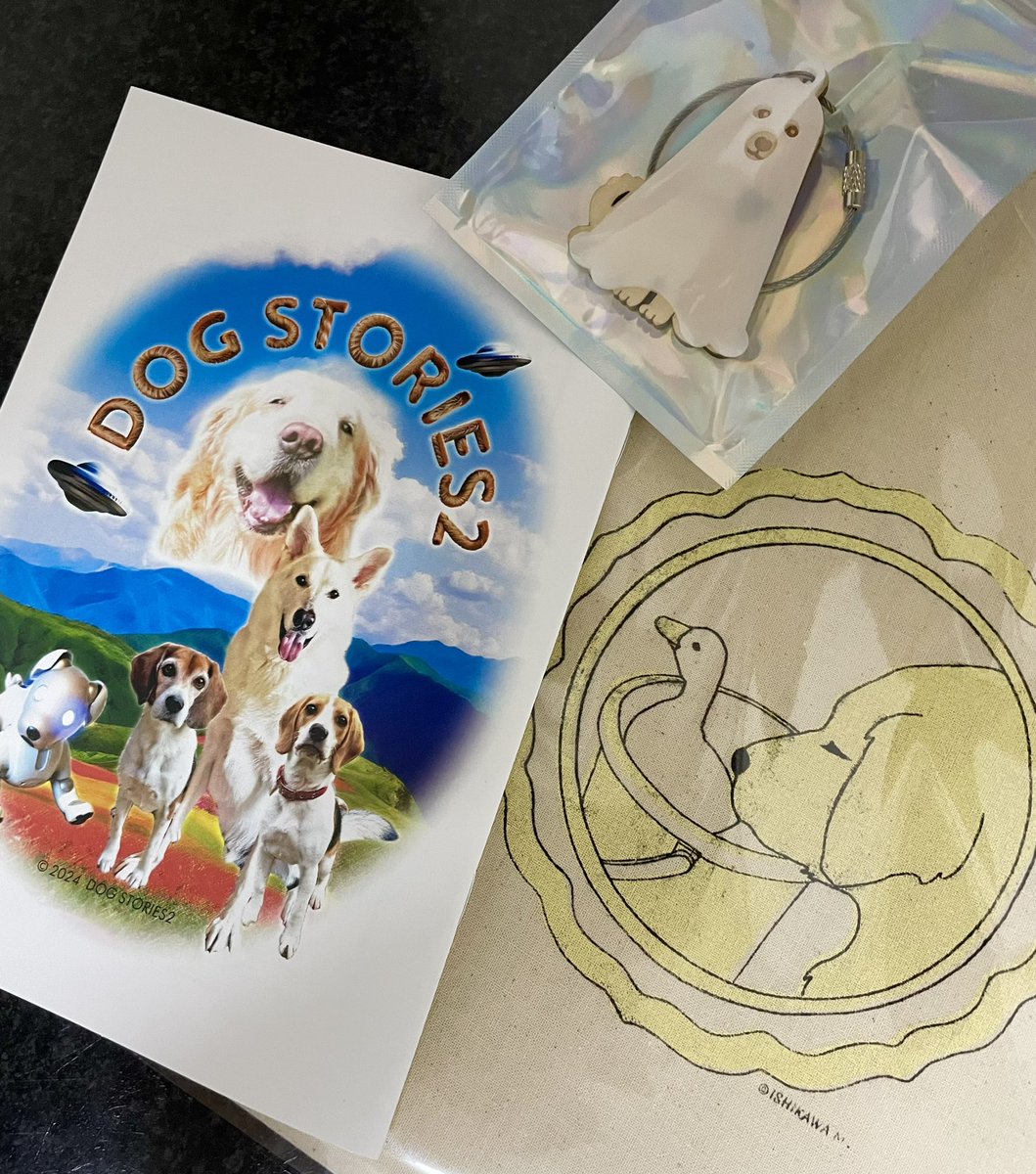 #dogstories2展 にお邪魔しました｡
繊細且つ可愛らしいriyaさんの作品､喜怒哀楽が伝わってくる石川さんの作品､独特の世界観に惹き込まれてしまう生熊さんの作品｡わずかなスペースの中に魅力が沢山✨️皆さん気さくな方で楽しかったです☺️