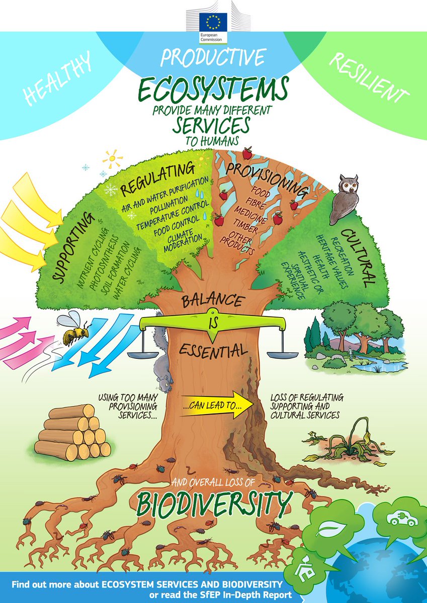 Healthy, productive, resilient ecosystems provide essential services to humans: 
Learn more from the <a href="/SfEP/">Science for Environment Policy</a> infographic 
#BiodiversityPlan