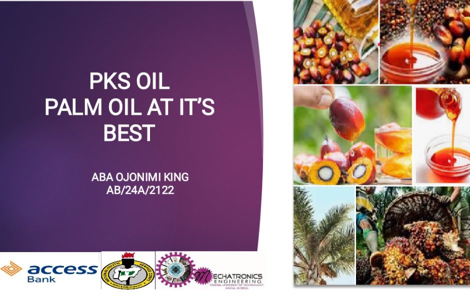 Hi, I'm Aba Ojonimi King, I am participating in the Accesspreneur NYSC Business Plan Programme, sponsored by Access Bank. My idea, 'PKS OIL,' is poised to transform palm oil market in Nigeria, ensuring safety and health. Like and retweet please #MyAccessBank #Access_more #Acces