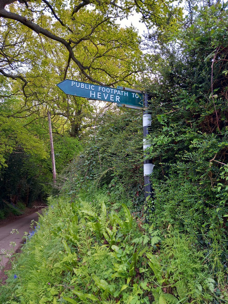 #FingerpostFriday
Eden Valley Path   Kent 
April 2024
@RamblersGB 
@ThePhotoHour