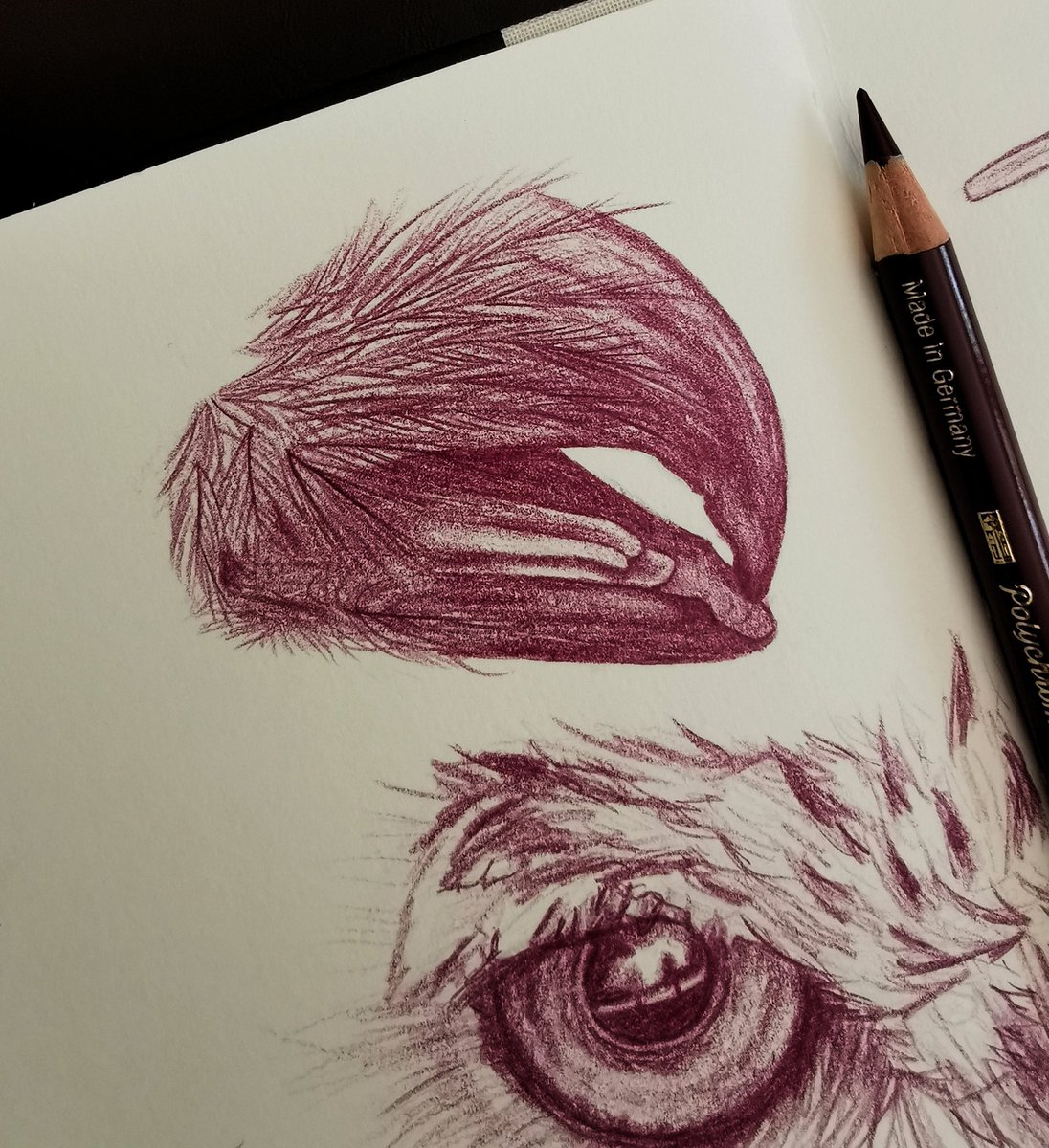 Sketchbook Day

#art #birds #drawings #sketchbook #sketchbookpage #sketch #coloredpencildrawing #eagleowl