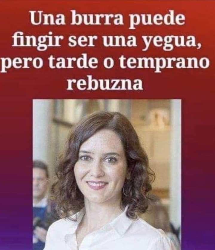 <a href="/AnabelAlonso_of/">Anabel Alonso Oficial 🇪🇸🇪🇸🇪🇦🇪🇦🇪🇸</a>