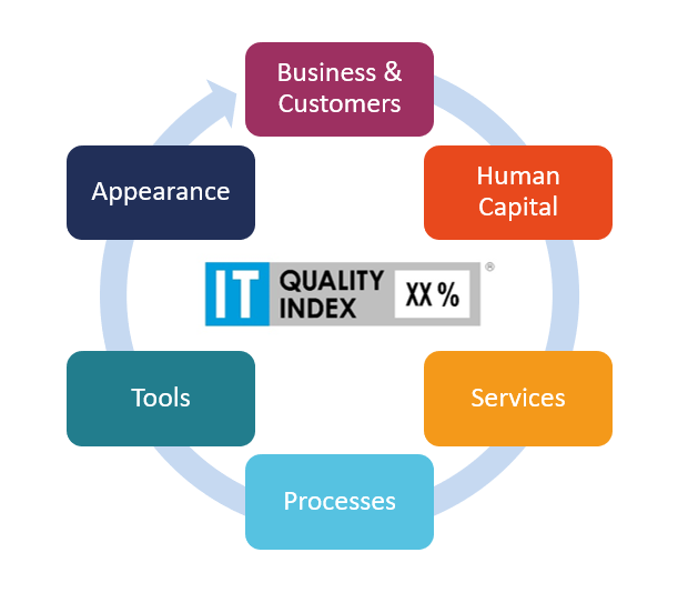 6 domains of IT Quality