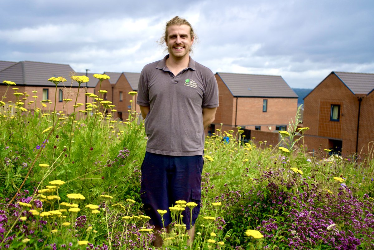 In our latest blog post, our Lead Landscape Manager Tom explores six unique ways you can transform your garden using Pictorial Meadows annual seed mixes: hubs.la/Q02v7Px80