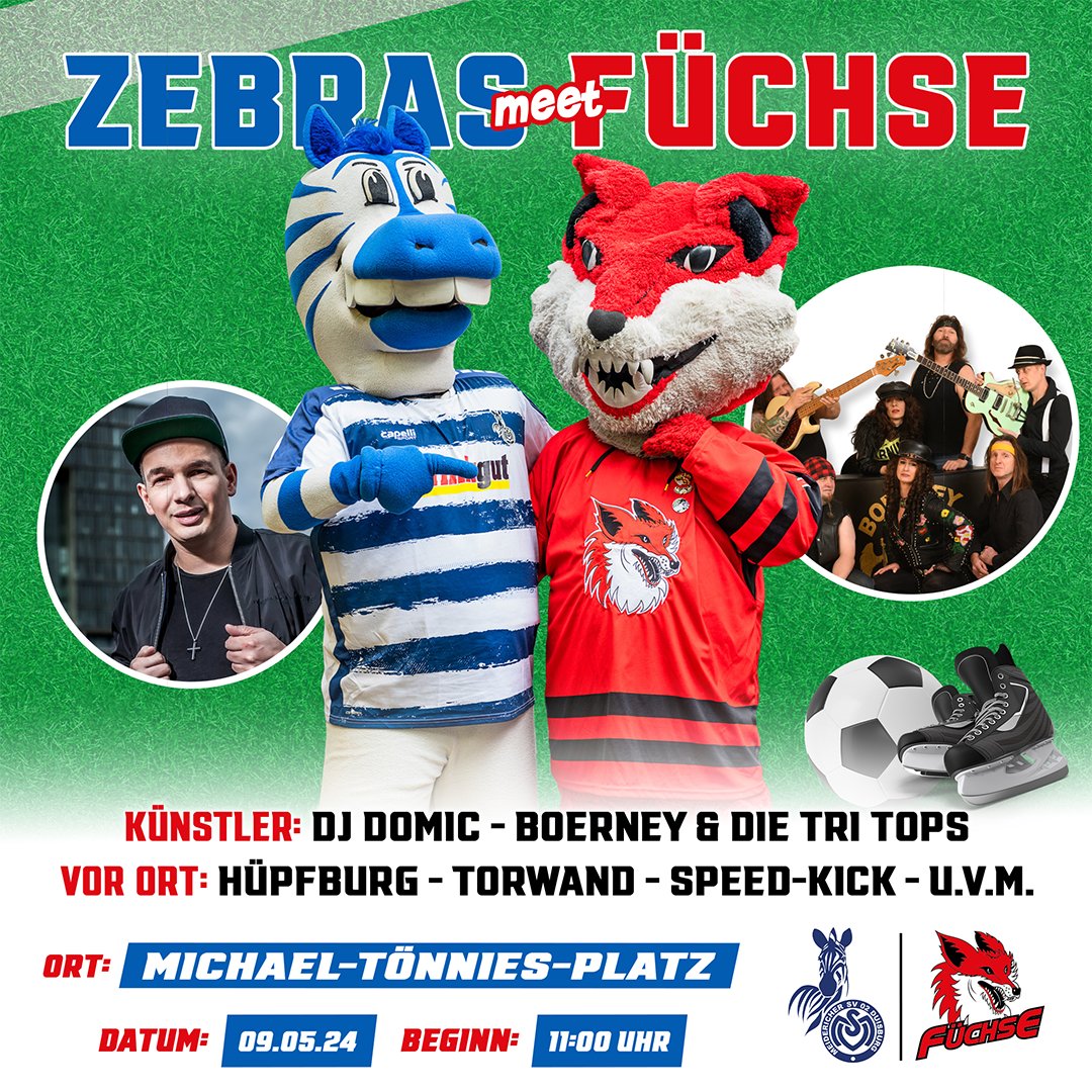 Sind #Füchse eigentlich Rudeltiere? An Christi Himmelfahrt definitiv! 🤝 Unter dem Motto #Zebras meet #Füchse kann man sich am Michael-Tönnies-Platz bei einem bunten Rahmenprogramm aus Musik, Speedkick und Torwandschießen beschnuppern. 

#WeilDUesBist