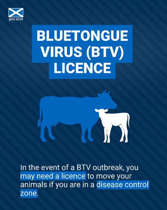 In the event of an #AvianInfluenza or #Bluetongue outbreak in England, Scotland or Wales, you may need a licence to move your animals if you are in a disease control zone. You can now apply online for a licence to move animals in these zones if in place ➡️ tinyurl.com/3664zdsh