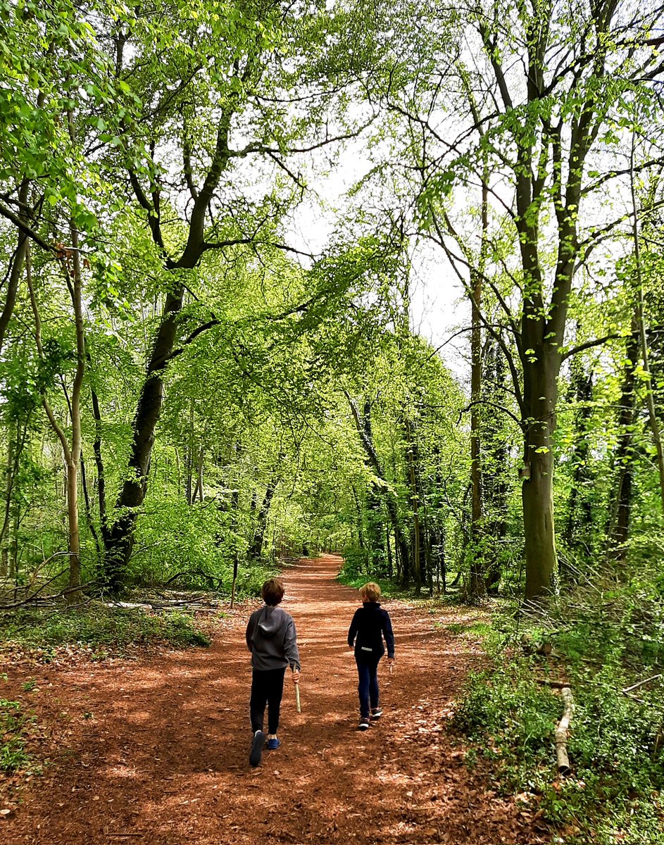 My kids have run the ring, chased hares across fields, clambered over fallen trees, hidden in hollow trunks & among apple blossoms, walked & walked & learned to love nature & ancient ways here. Am so grateful to @CambridgePPF for conserving this extraordinary space for us all. /2
