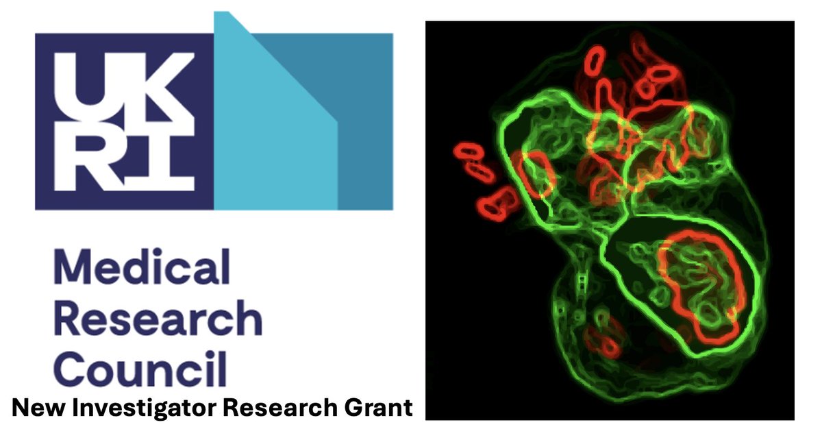 I am thrilled to announce I have received an MRC New Investigator Research Grant! This award will allow my lab to elucidate Shigella persistent infection and its role in AMR. We will investigate new aspects of the Shigella lifestyle, paving the way for novel interventions.