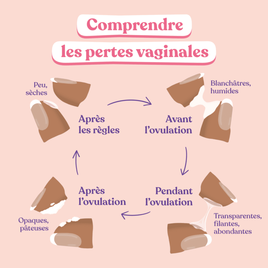Comprendre les pertes vaginales 🤔.... Apprenez avec ces images mes chères💖🔥. Votre #Biologiste. @Hygiene_Plus