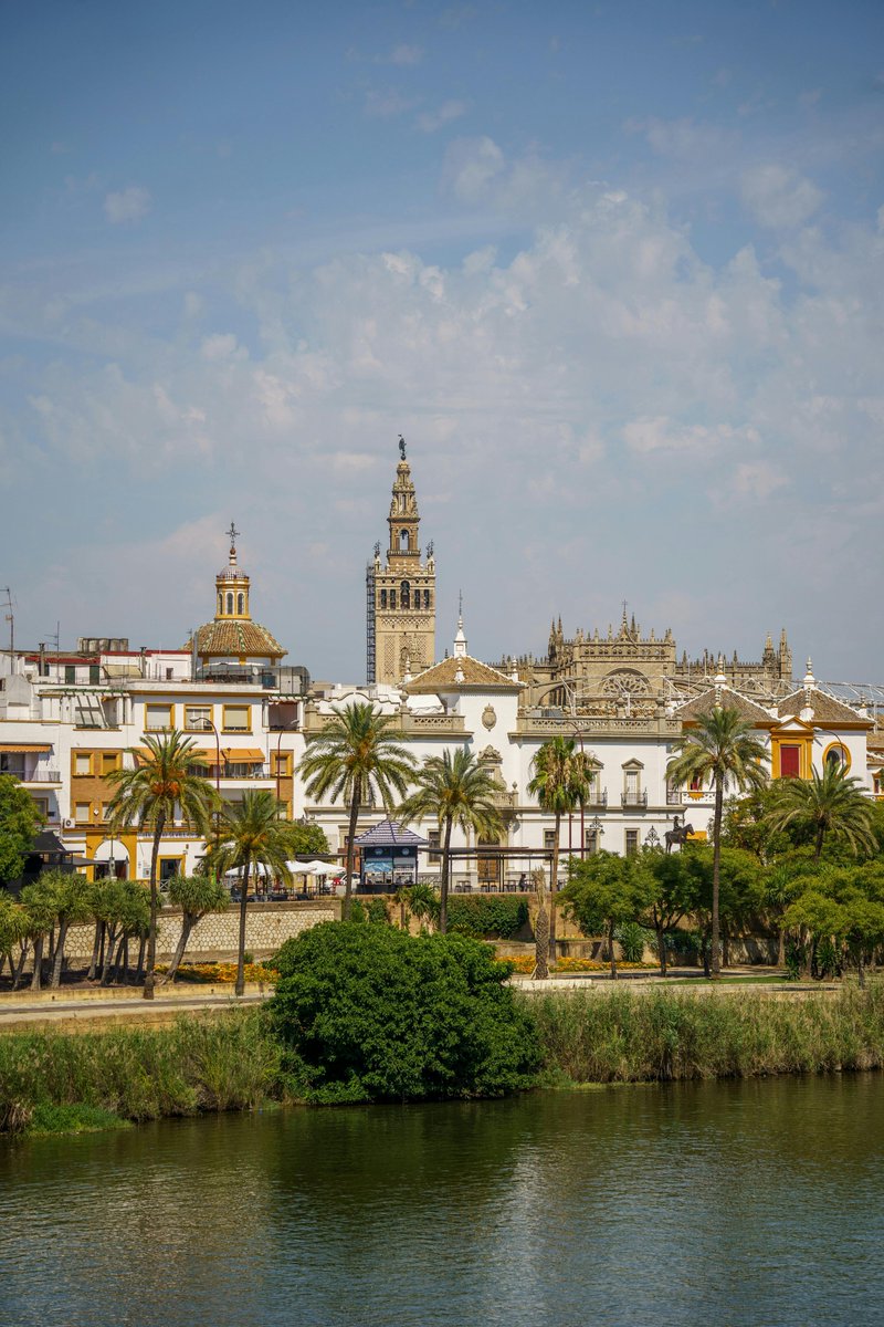 The list of mini-symposia at the ECM2024 is now available!!! Check it at ecm2024sevilla.com/index.php/prog…