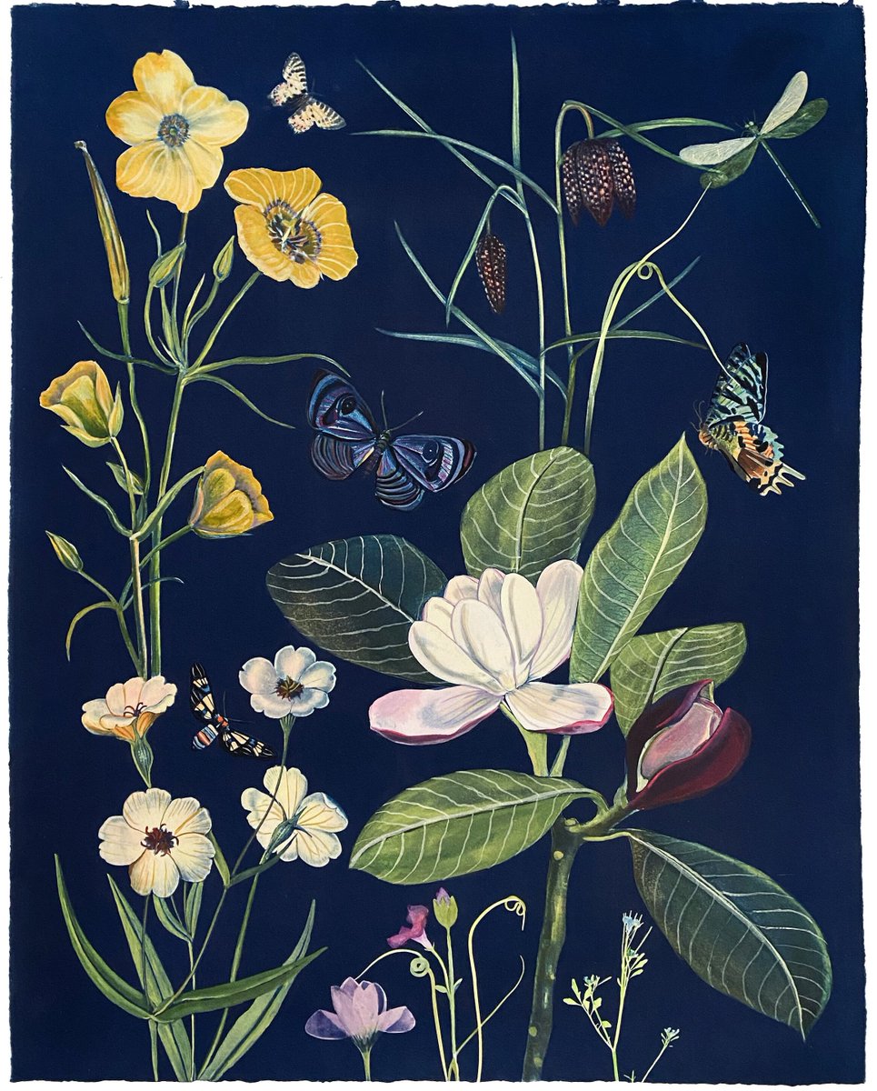 Julia Whitney Barnes 
Cyanotype Painting (Magnolia, Buttercups, Fritillaria, Pollinators, etc)