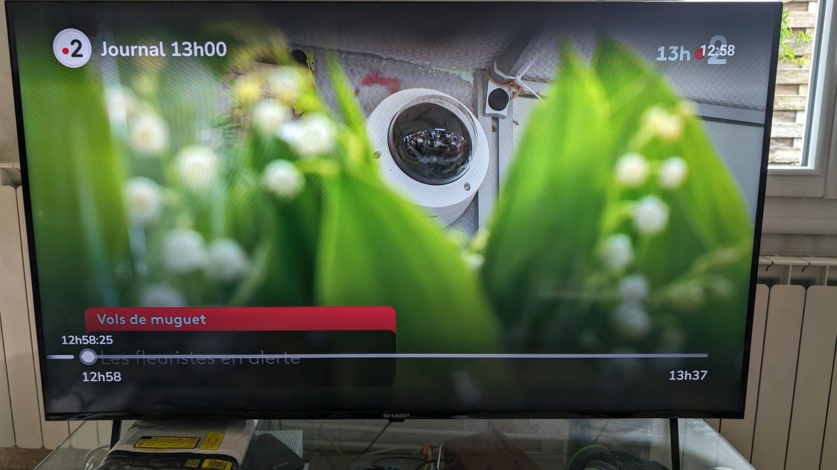 🐧 Dr Carbone 🍓 tweet media